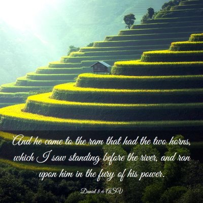 Picture 03 - Daniel 8:6 ASV - And he came to the ram that had the two horns, - Bible Verse Picture