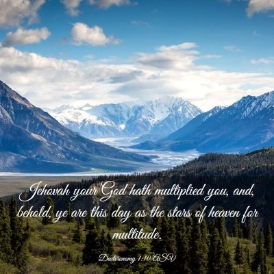 Picture 03 - Deuteronomy 1:10 ASV - Jehovah your God hath multiplied you, and, - Bible Verse Picture