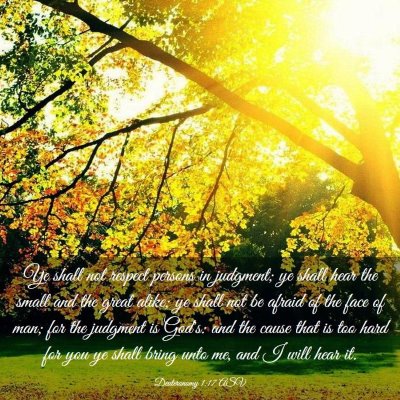 Picture 03 - Deuteronomy 1:17 ASV - Ye shall not respect persons in judgment; ye - Bible Verse Picture