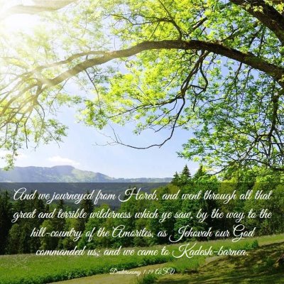 Picture 03 - Deuteronomy 1:19 ASV - And we journeyed from Horeb, and went through all - Bible Verse Picture