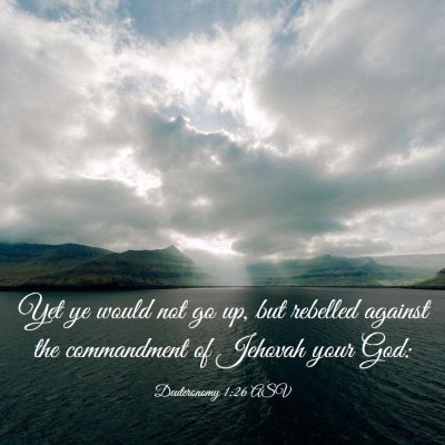 Picture 03 - Deuteronomy 1:26 ASV - Yet ye would not go up, but rebelled against the - Bible Verse Picture