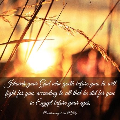 Picture 03 - Deuteronomy 1:30 ASV - Jehovah your God who goeth before you, he will - Bible Verse Picture