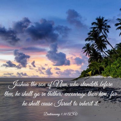 Picture 03 - Deuteronomy 1:38 ASV - Joshua the son of Nun, who standeth before thee, - Bible Verse Picture