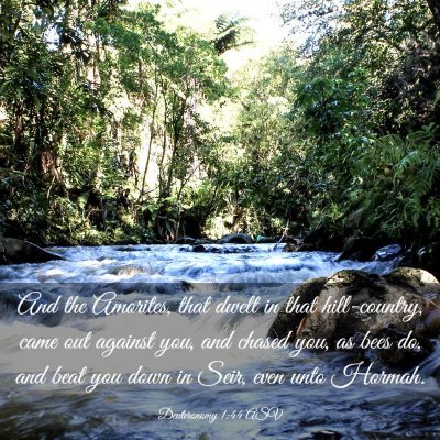 Picture 03 - Deuteronomy 1:44 ASV - And the Amorites, that dwelt in that - Bible Verse Picture