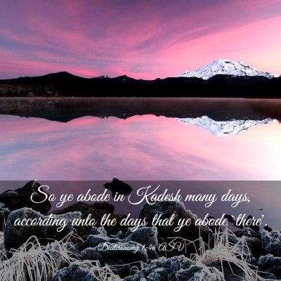 Picture 03 - Deuteronomy 1:46 ASV - So ye abode in Kadesh many days, according unto - Bible Verse Picture