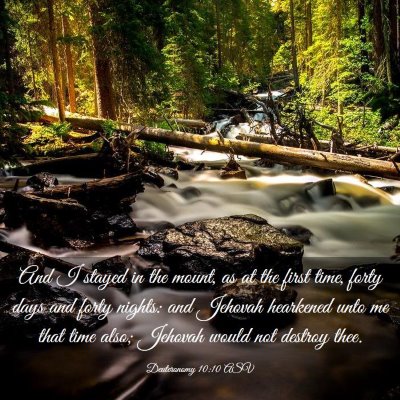Picture 03 - Deuteronomy 10:10 ASV - And I stayed in the mount, as at the first time, - Bible Verse Picture