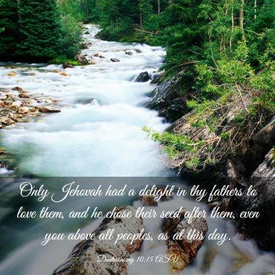 Picture 03 - Deuteronomy 10:15 ASV - Only Jehovah had a delight in thy fathers to love - Bible Verse Picture