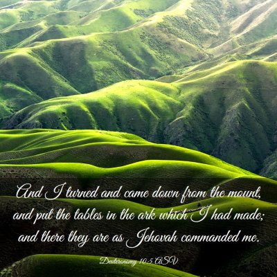 Picture 03 - Deuteronomy 10:5 ASV - And I turned and came down from the mount, and - Bible Verse Picture