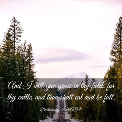 Picture 03 - Deuteronomy 11:15 ASV - And I will give grass in thy fields for thy - Bible Verse Picture