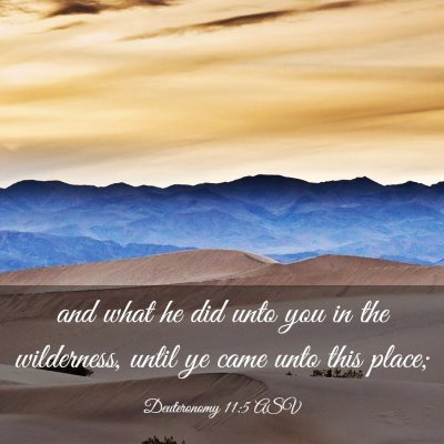 Picture 03 - Deuteronomy 11:5 ASV - and what he did unto you in the wilderness, until - Bible Verse Picture