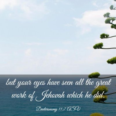 Picture 03 - Deuteronomy 11:7 ASV - but your eyes have seen all the great work of - Bible Verse Picture