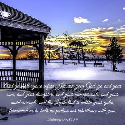 Picture 03 - Deuteronomy 12:12 ASV - And ye shall rejoice before Jehovah your God, ye, - Bible Verse Picture
