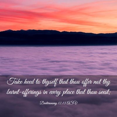 Picture 03 - Deuteronomy 12:13 ASV - Take heed to thyself that thou offer not thy - Bible Verse Picture