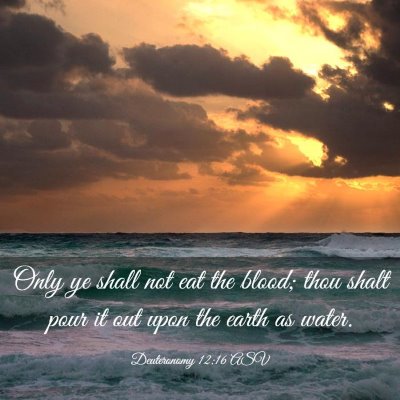 Picture 03 - Deuteronomy 12:16 ASV - Only ye shall not eat the blood; thou shalt pour - Bible Verse Picture
