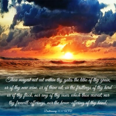 Picture 03 - Deuteronomy 12:17 ASV - Thou mayest not eat within thy gates the tithe of - Bible Verse Picture