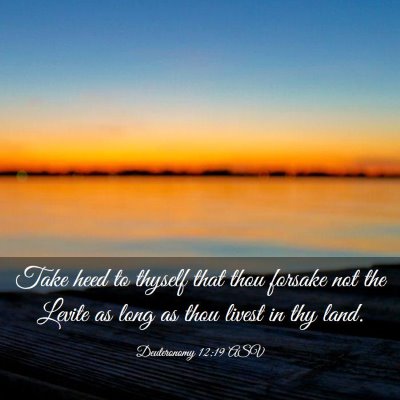 Picture 03 - Deuteronomy 12:19 ASV - Take heed to thyself that thou forsake not the - Bible Verse Picture