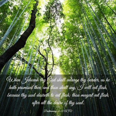 Picture 03 - Deuteronomy 12:20 ASV - When Jehovah thy God shall enlarge thy border, as - Bible Verse Picture