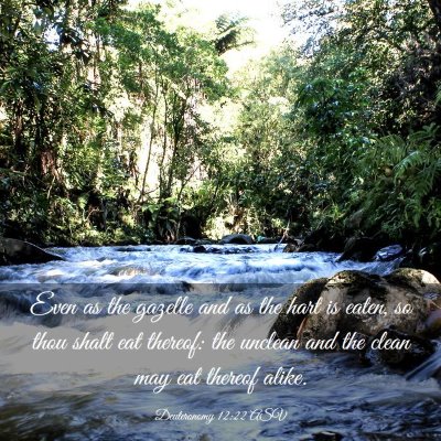 Picture 03 - Deuteronomy 12:22 ASV - Even as the gazelle and as the hart is eaten, so - Bible Verse Picture