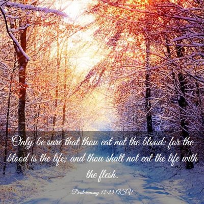 Picture 03 - Deuteronomy 12:23 ASV - Only be sure that thou eat not the blood: for the - Bible Verse Picture