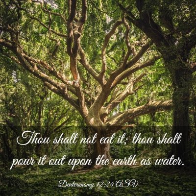 Picture 03 - Deuteronomy 12:24 ASV - Thou shalt not eat it; thou shalt pour it out - Bible Verse Picture