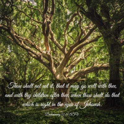Picture 03 - Deuteronomy 12:25 ASV - Thou shalt not eat it; that it may go well with - Bible Verse Picture