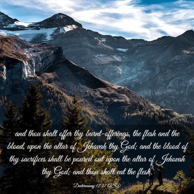 Picture 03 - Deuteronomy 12:27 ASV - and thou shalt offer thy burnt-offerings, the - Bible Verse Picture