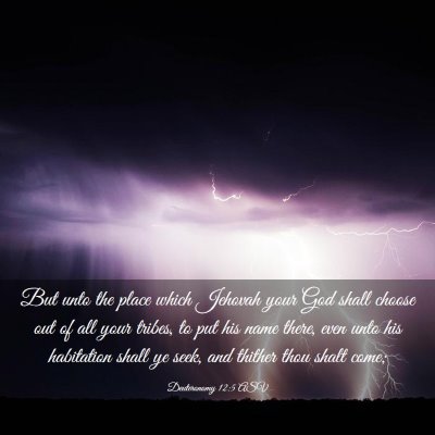 Picture 03 - Deuteronomy 12:5 ASV - But unto the place which Jehovah your God shall - Bible Verse Picture