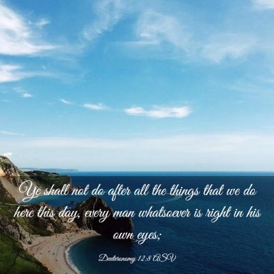 Picture 03 - Deuteronomy 12:8 ASV - Ye shall not do after all the things that we do - Bible Verse Picture