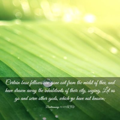 Picture 03 - Deuteronomy 13:13 ASV - Certain base fellows are gone out from the midst - Bible Verse Picture