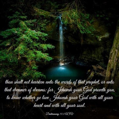 Picture 03 - Deuteronomy 13:3 ASV - thou shalt not hearken unto the words of that - Bible Verse Picture