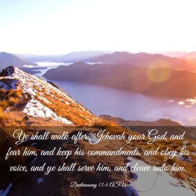 Picture 03 - Deuteronomy 13:4 ASV - Ye shall walk after Jehovah your God, and fear - Bible Verse Picture