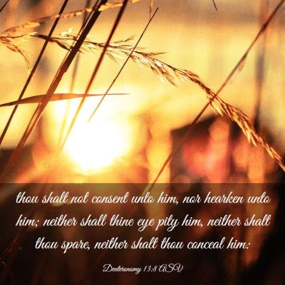 Picture 03 - Deuteronomy 13:8 ASV - thou shalt not consent unto him, nor hearken unto - Bible Verse Picture