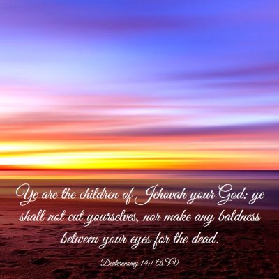 Picture 03 - Deuteronomy 14:1 ASV - Ye are the children of Jehovah your God: ye shall - Bible Verse Picture