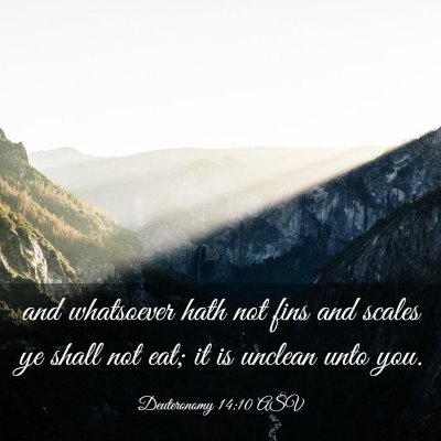 Picture 03 - Deuteronomy 14:10 ASV - and whatsoever hath not fins and scales ye shall - Bible Verse Picture