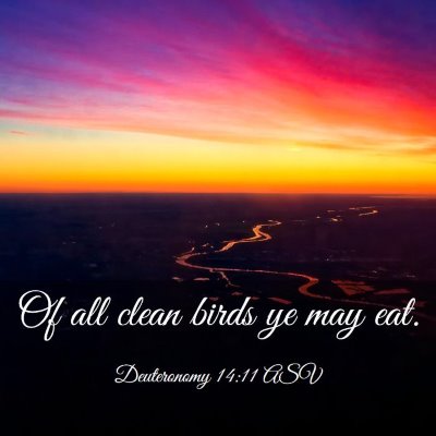 Picture 03 - Deuteronomy 14:11 ASV - Of all clean birds ye may - Bible Verse Picture