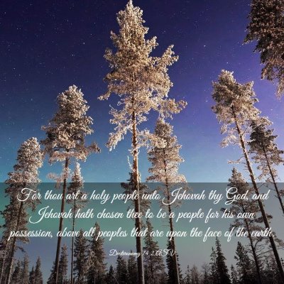 Picture 03 - Deuteronomy 14:2 ASV - For thou art a holy people unto Jehovah thy God, - Bible Verse Picture