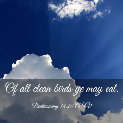 Picture 03 - Deuteronomy 14:20 ASV - Of all clean birds ye may - Bible Verse Picture