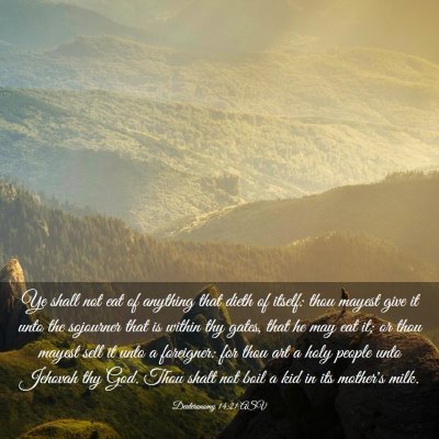 Picture 03 - Deuteronomy 14:21 ASV - Ye shall not eat of anything that dieth of - Bible Verse Picture