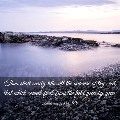 Picture 03 - Deuteronomy 14:22 ASV - Thou shalt surely tithe all the increase of thy - Bible Verse Picture