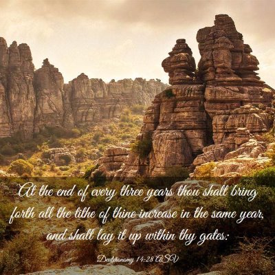 Picture 03 - Deuteronomy 14:28 ASV - At the end of every three years thou shalt bring - Bible Verse Picture