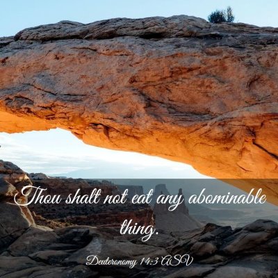 Picture 03 - Deuteronomy 14:3 ASV - Thou shalt not eat any abominable - Bible Verse Picture