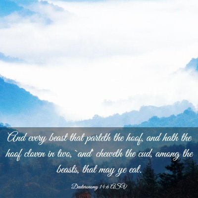 Picture 03 - Deuteronomy 14:6 ASV - And every beast that parteth the hoof, and hath - Bible Verse Picture