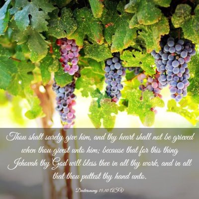 Picture 03 - Deuteronomy 15:10 ASV - Thou shalt surely give him, and thy heart shall - Bible Verse Picture