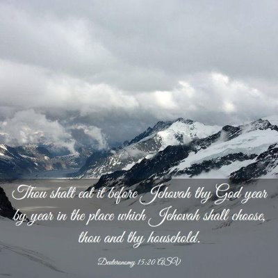 Picture 03 - Deuteronomy 15:20 ASV - Thou shalt eat it before Jehovah thy God year by - Bible Verse Picture