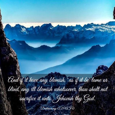 Picture 03 - Deuteronomy 15:21 ASV - And if it have any blemish, `as if it be' lame or - Bible Verse Picture