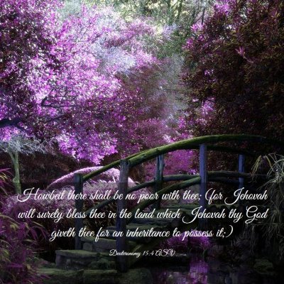 Picture 03 - Deuteronomy 15:4 ASV - Howbeit there shall be no poor with thee; (for - Bible Verse Picture