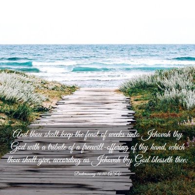 Picture 03 - Deuteronomy 16:10 ASV - And thou shalt keep the feast of weeks unto - Bible Verse Picture