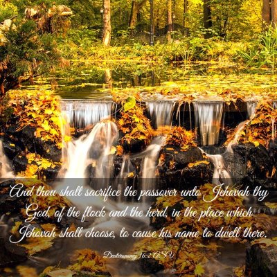 Picture 03 - Deuteronomy 16:2 ASV - And thou shalt sacrifice the passover unto - Bible Verse Picture