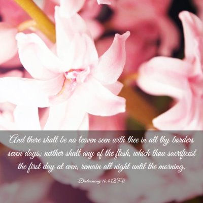 Picture 03 - Deuteronomy 16:4 ASV - And there shall be no leaven seen with thee in - Bible Verse Picture