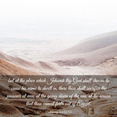 Picture 03 - Deuteronomy 16:6 ASV - but at the place which Jehovah thy God shall - Bible Verse Picture